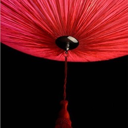 Lotusblatt Moderne Marine Tuch Kunst Droplight von roten Laternen Lampe Licht