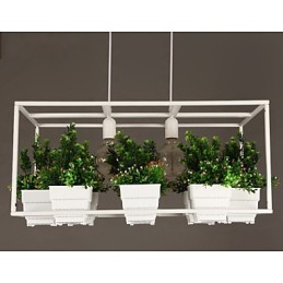 Moderne Pendelleuchte im zeitgenössischen dekorativen Design (ohne Pflanzen)
