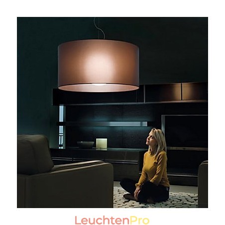Deckenleuchte aus Eisen im klassischen Stil mit Schirm Deckenleuchte aus Eisen im klassischen Stil mit Schirm