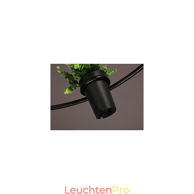Moderne Pendelleuchte im zeitgenössischen dekorativen Design (ohne Pflanzen)