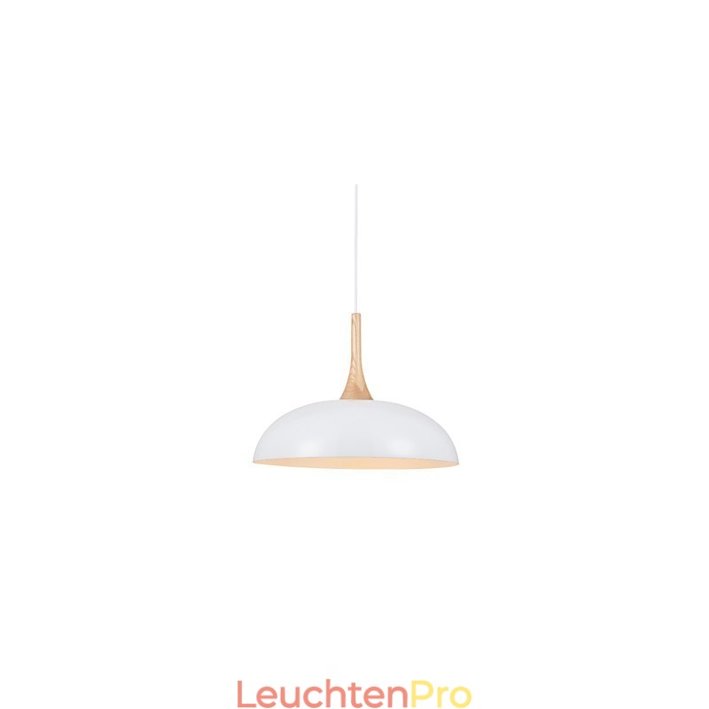 Mini Künstlerische Pendelleuchte 1 Licht Moderne Schlichtheit Schwarz Weiß Finish Aluminium & Holz Droplight