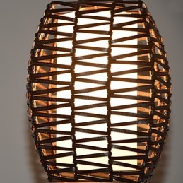 Cany Art Weaving Klassische vertraglich Droplight Lampe Licht
