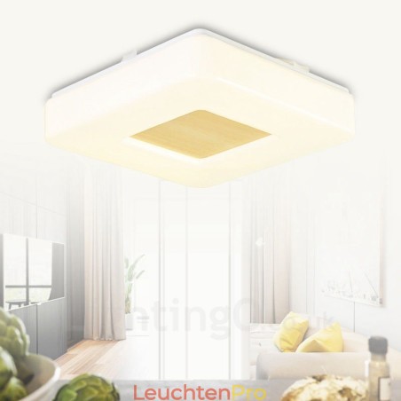 Moderne, zeitgenössische Deckenleuchten mit Acrylschirm Moderne, zeitgenössische Deckenleuchten mit Acrylschirm