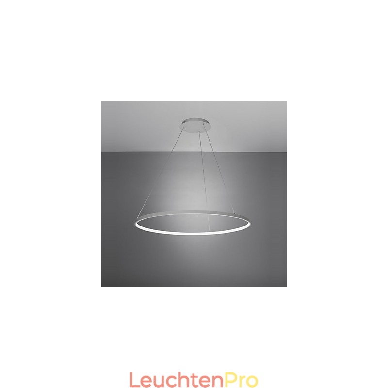 Dimmbare 63W 100CM Durchmesser Pendelleuchte Modernes Design Ring