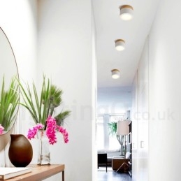 Holz Modernes Design Mini Deckenleuchte mit Acrylschirm Spezial für Auch als Wandleuchte verwendbar
