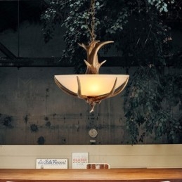 One Light Rustikale, künstlerische Retro-Pendelleuchte mit Geweih und antikem Glasschirm