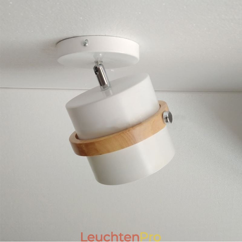 Runde Macaron Spotlight Chromatische Deckenleuchte (Einzellicht)