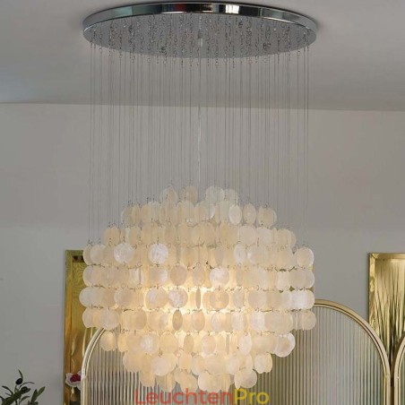 Moderne Shell Pendelleuchte Zeitgenössische Hängende Deckenbeleuchtung Esszimmer Moderne Shell Pendelleuchte Zeitgenössische Hängende Deckenbeleuchtung Esszimmer