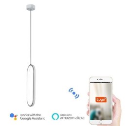 Ovale Pendelleuchte, dekorative Leuchte aus Acryl