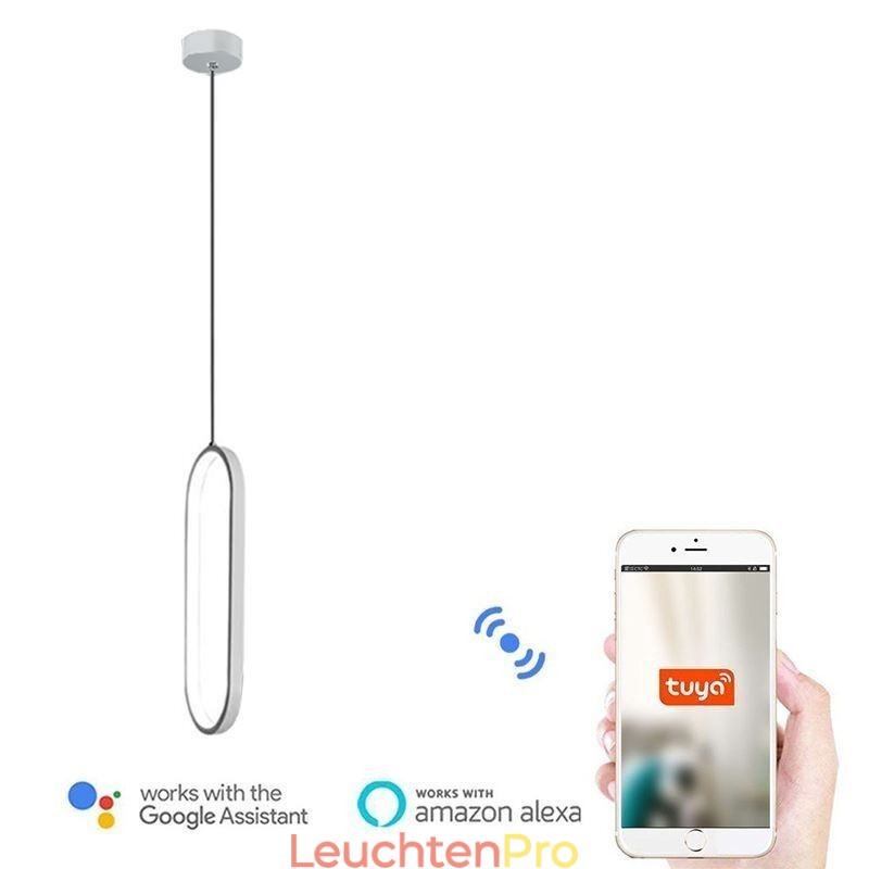 Ovale Pendelleuchte, dekorative Leuchte aus Acryl