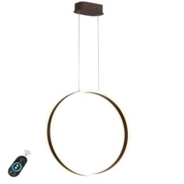 Nordische Pendelleuchte Acryl Ringform Pendelleuchte