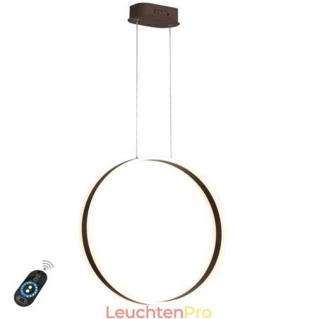 Nordische Pendelleuchte Acryl Ringform Pendelleuchte Nordische Pendelleuchte Acryl Ringform Pendelleuchte