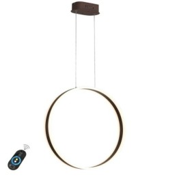 Nordische Pendelleuchte Acryl Ringform Pendelleuchte