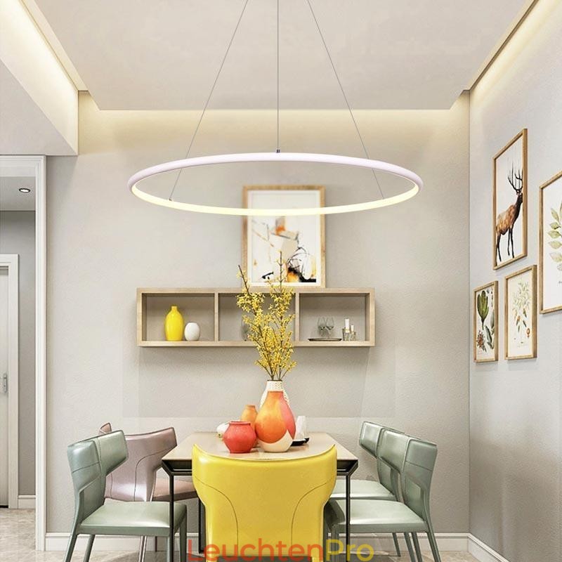 Moderne Pendelleuchte Kreislampe 60cm 80cm