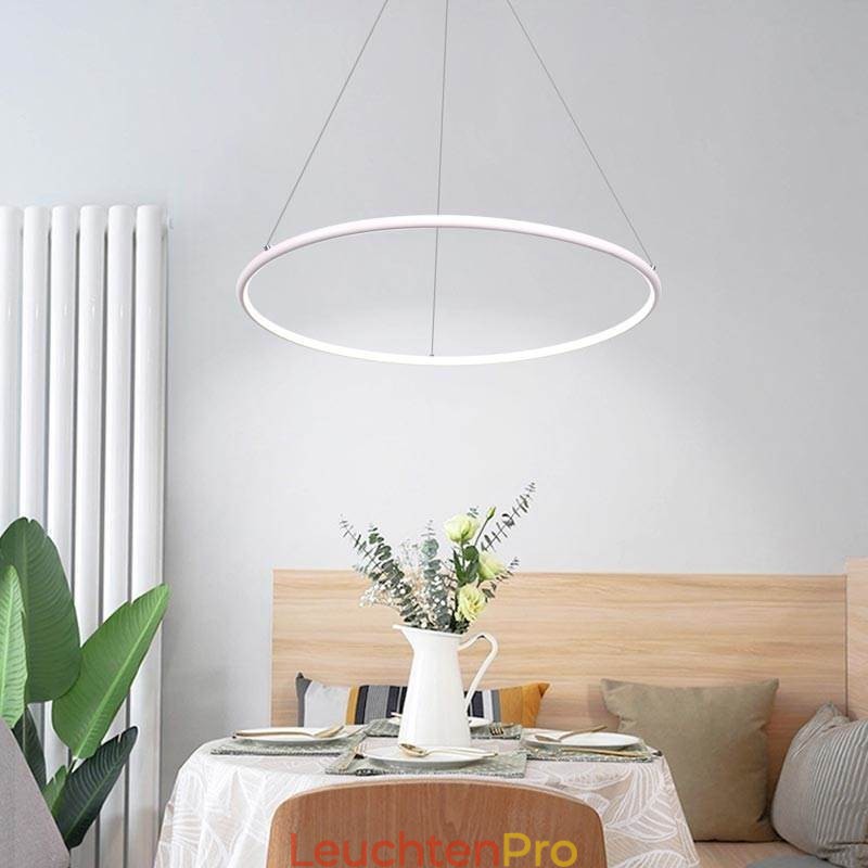 Moderne Pendelleuchte Kreislampe 60cm 80cm