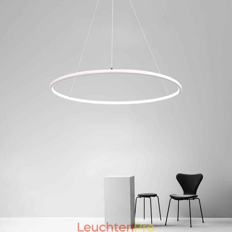 Moderne Pendelleuchte Kreislampe 60cm 80cm