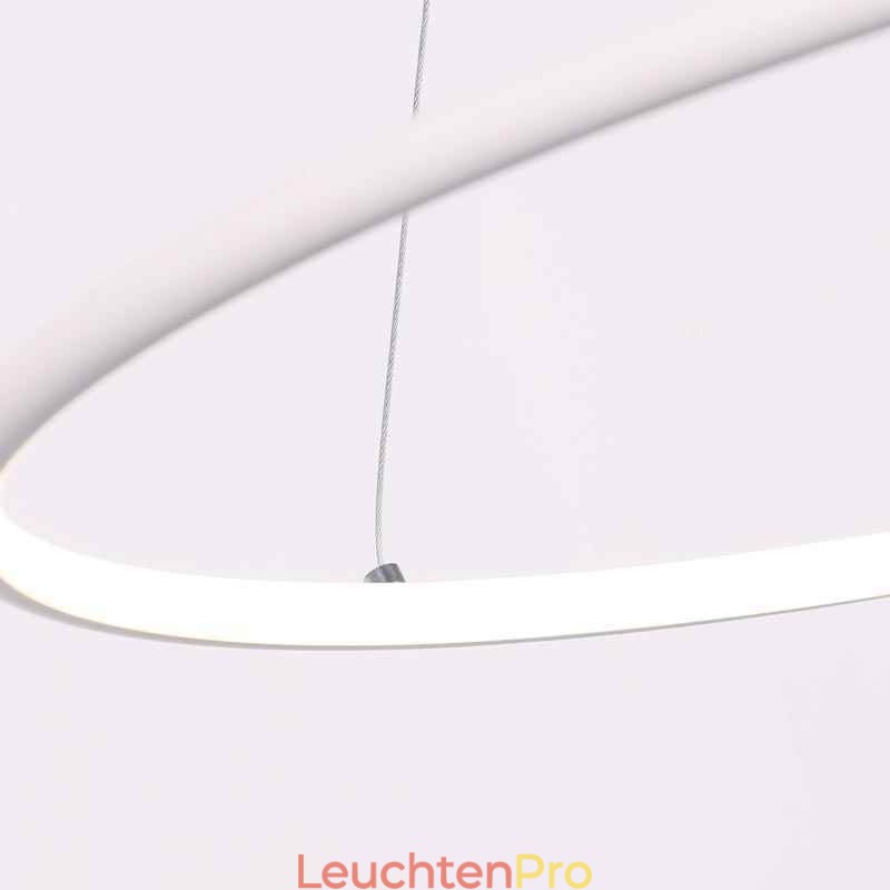 Moderne Pendelleuchte Kreislampe 60cm 80cm
