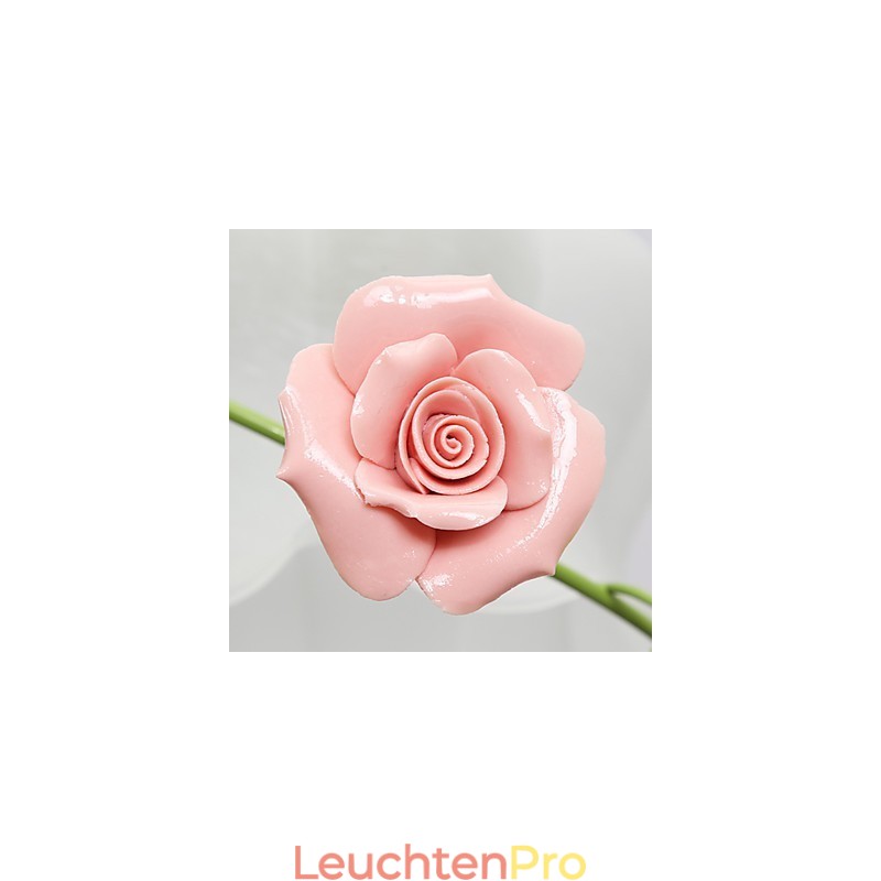 Valentinstag: Die Blumen und Pflanzen des Rosengartens absorbieren das Licht der Kuppel