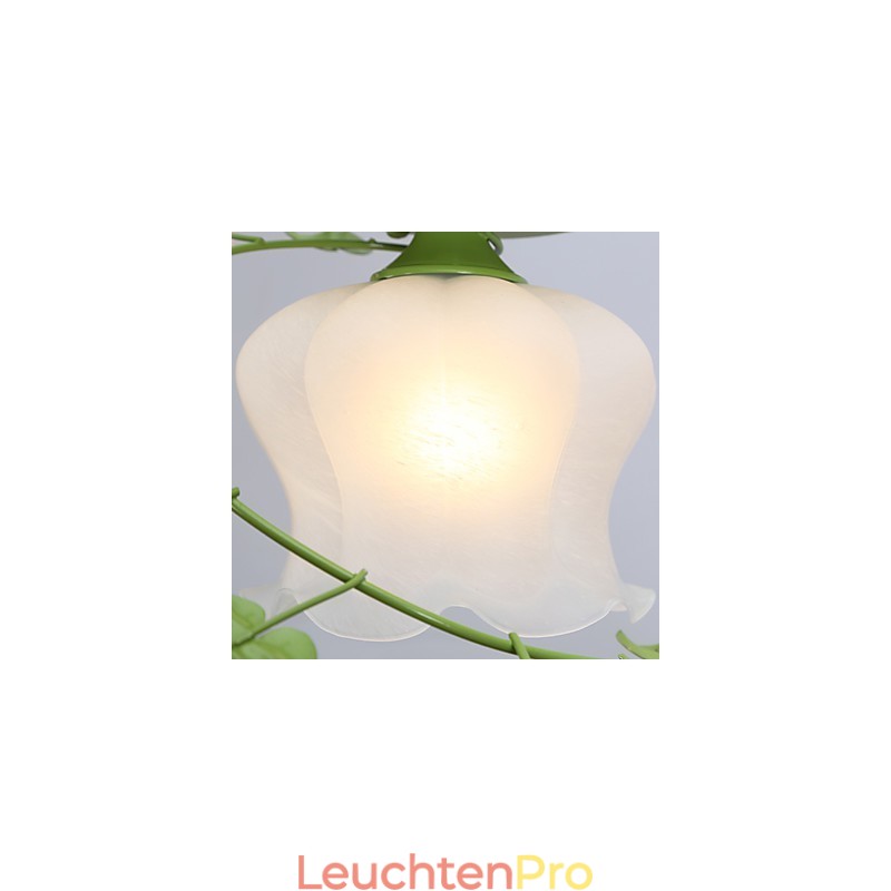 Valentinstag: Die Blumen und Pflanzen des Rosengartens absorbieren das Licht der Kuppel