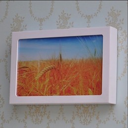 Integrierte moderne zeitgenössische moderne zeitgenössische Malerei-Funktion für Ambient Light Wandleuchten