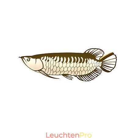 Moderne Wandleuchten Fischform Einfachheit Stil Acryl Beleuchtung Wohnzimmer Flur Schlafzimmer Hotelzimmer Dekoration Beleuchtung Moderne Wandleuchten Fischform Einfachheit Stil Acryl Beleuchtung Wohnzimmer Flur Schlafzimmer Hotelzimmer Dekoration Beleuchtung