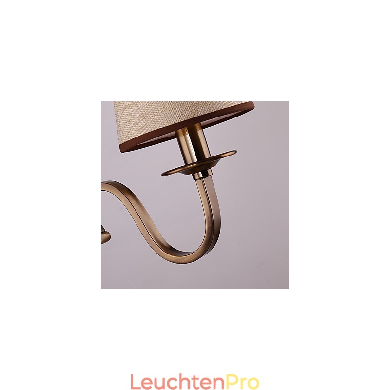 Traditionelle klassische galvanisierte Funktion für Augenschutz Downlight Wandleuchten Wandleuchte