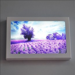 Integrierte moderne zeitgenössische moderne zeitgenössische Malerei-Funktion für Ambient Light Wandleuchten