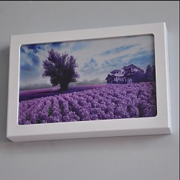 Integrierte moderne zeitgenössische moderne zeitgenössische Malerei-Funktion für Ambient Light Wandleuchten