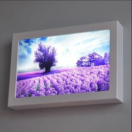 Integrierte moderne zeitgenössische moderne zeitgenössische Malerei-Funktion für Ambient Light Wandleuchten