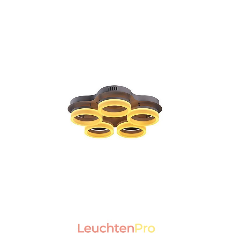 Deckenleuchten aus Acryl im eleganten Design