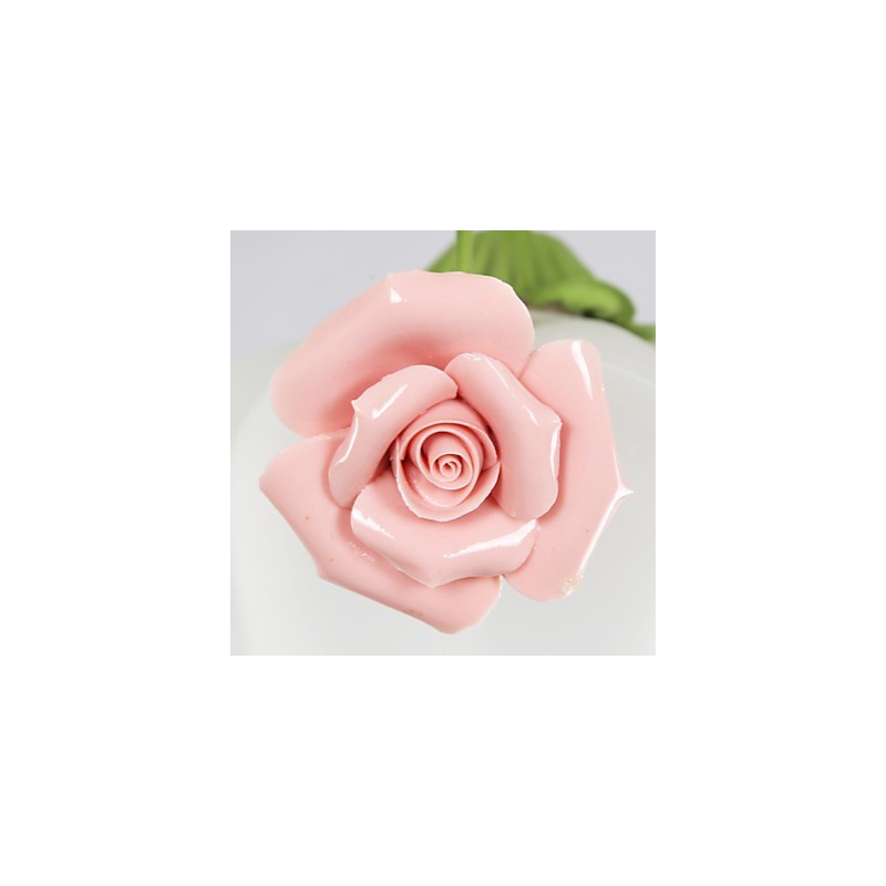 Gartenblumen und -pflanzen zum Valentinstag absorbieren Kuppellicht