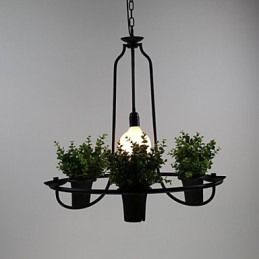 Mediterrane Gartenblumen Licht