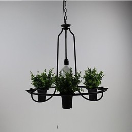 Mediterrane Gartenblumen Licht