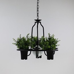 Mediterrane Gartenblumen Licht