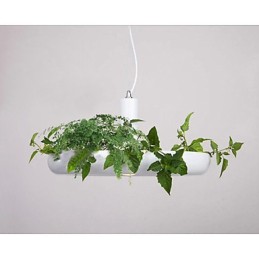 Modernes, zeitgenössisches, dekoratives Design, Pendelleuchte, Familie, reinweiß