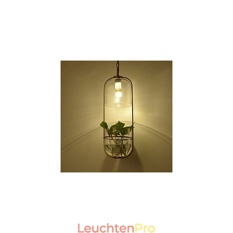 Moderne Pendelleuchte im zeitgenössischen dekorativen Design (ohne Pflanzen)
